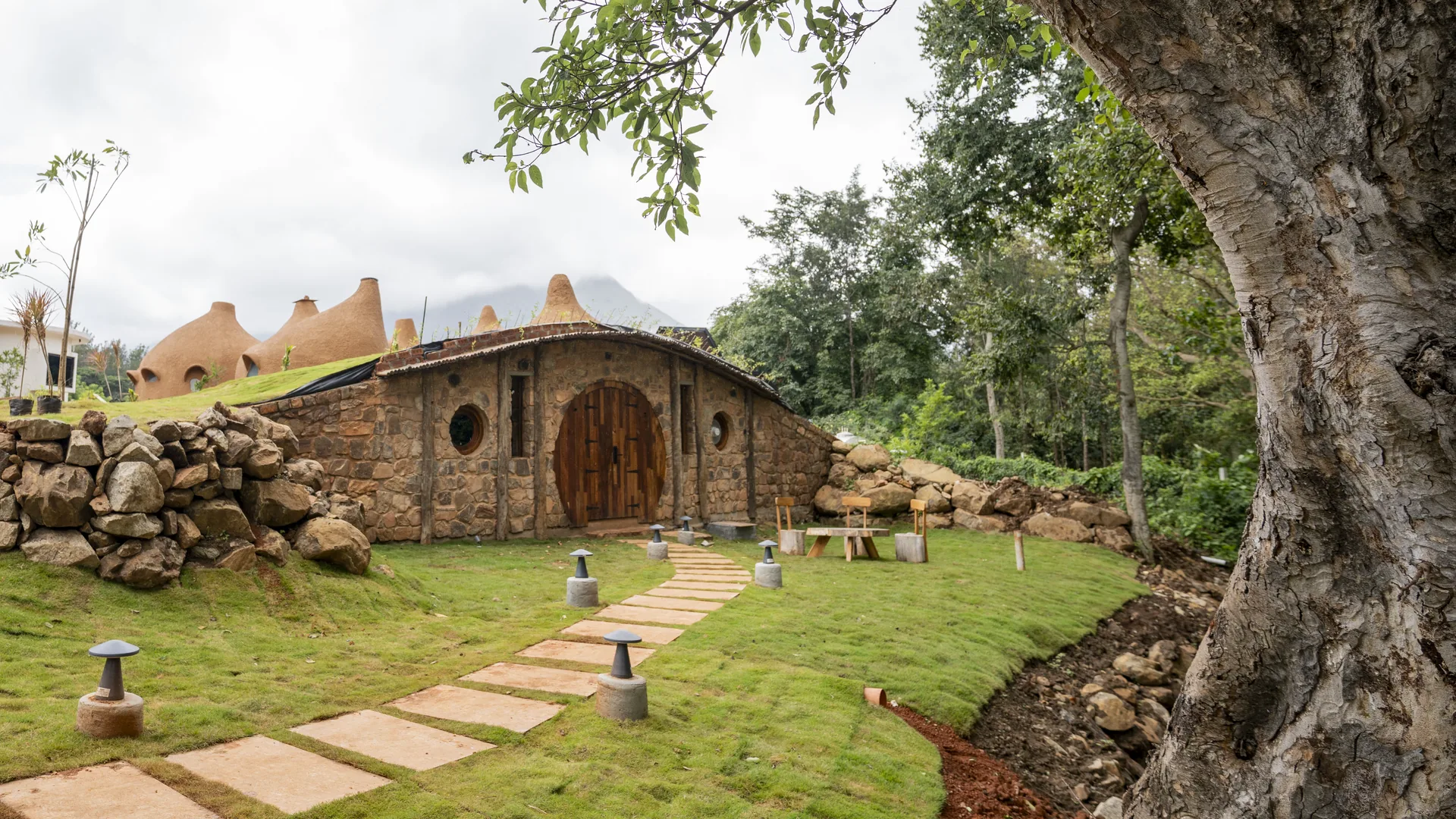 The Burrow's round door beneath the tree